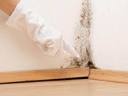 Best Mold Removal for HVAC Installations in Lynden, WA